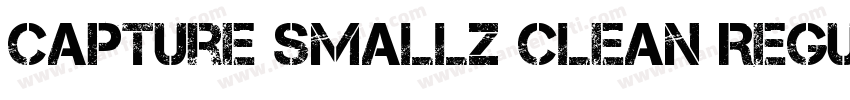 Capture Smallz Clean Regular字体转换